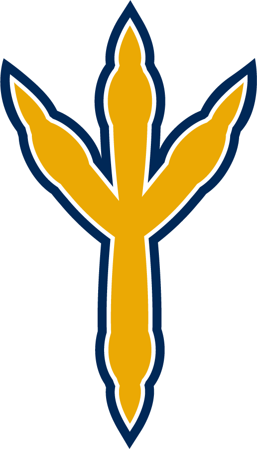 Chattanooga Mocs 2014-Pres Alternate Logo iron on transfers for T-shirts